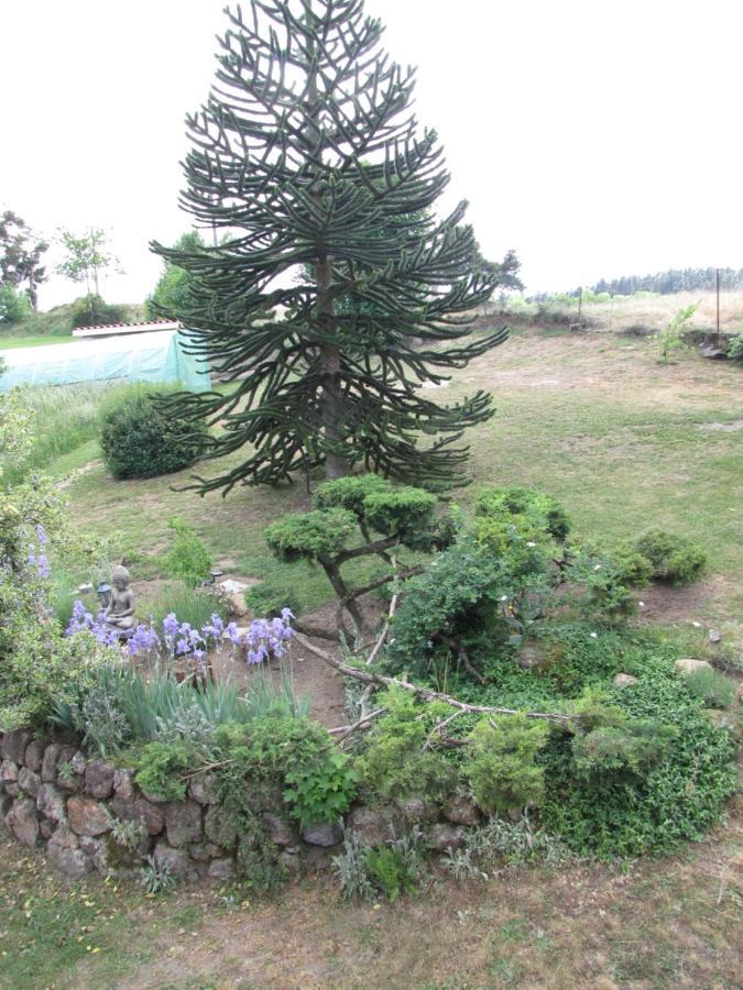 Chez Sophie Et Gilles Bed & Breakfast Monistrol-sur-Loire ภายนอก รูปภาพ